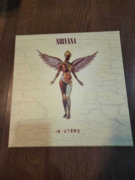 【未使用】【限定】nirvana In Utero 20th Anniversaryedition ニルヴァーナ インユーテロ スーパーデラックスエディションの落札情報詳細 ヤフオク落札