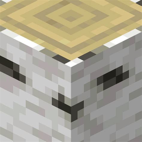 Dizzistitch S Funkier Birch Minecraft Texture Pack