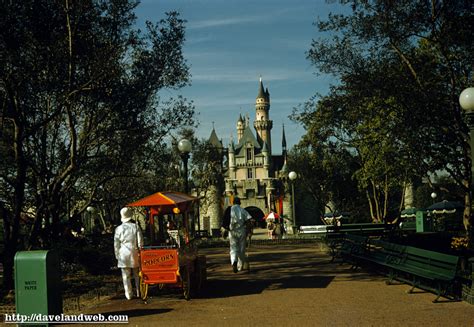 Daveland Disneyland Castle Photos