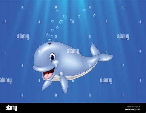 Cartoon Whale Hi Res Stock Photography And Images Alamy