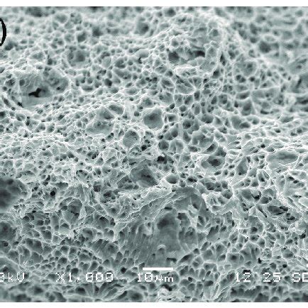 SEM Images Of The Fracture Surface In FP2 A Fracture Surface In The