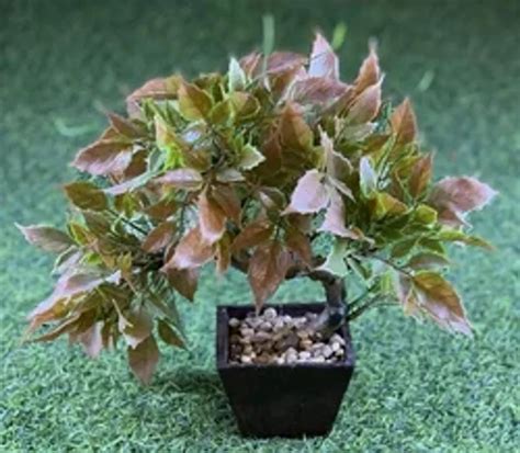 Plastic Bonsai Artificial Plant With Brown Pot Brown Colour At Rs