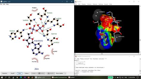 2d Plot And 3d Molecular Visualization Of Protein Ligand And Protein