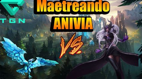 League Of Legends Maestreando Campeones Anivia Vs Syndra Youtube