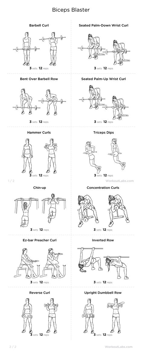 Biceps Blaster Workout Biceps And Triceps, Biceps Workout, Back And