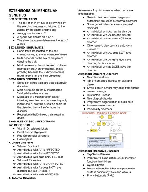 Midterms Genetics Extensions On Mendelian Genetics Sex Determination