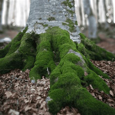 How to Find Underground Water Leaks — Precision Outdoor Tech