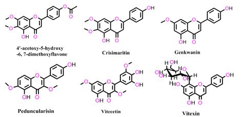 An Overview Study On Chemical Constituents And Biological Activities Of