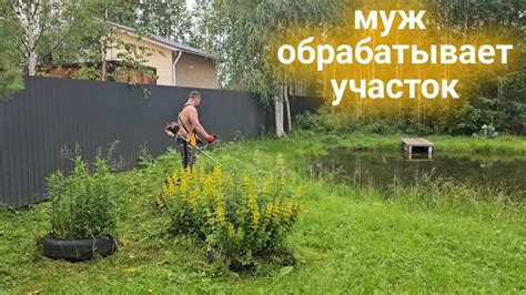 Муравьи атакуют/жизнь на севере в лесу/удобряю огурцы/приготовила ...
