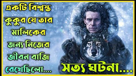 Togo 2019 Movie Explanation In Bangla Movie Review In Banglathe World