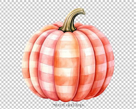 Pastel Pink Pumpkin Watercolor Clipart PNG Barbicore Autumn Etsy