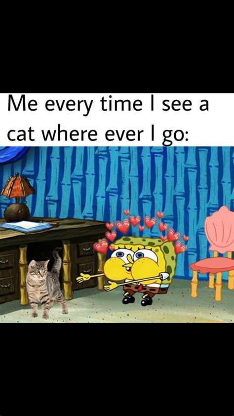 Big cheeks SpongeBob, looking at cute thing : r/MemeTemplatesOfficial