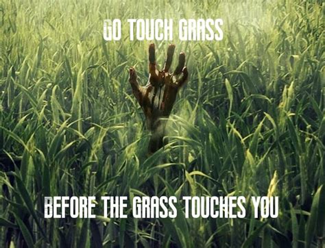 Grass Meme