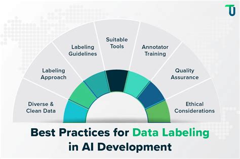 AI Data Labeling Types Choosing Right Tools Best Practices