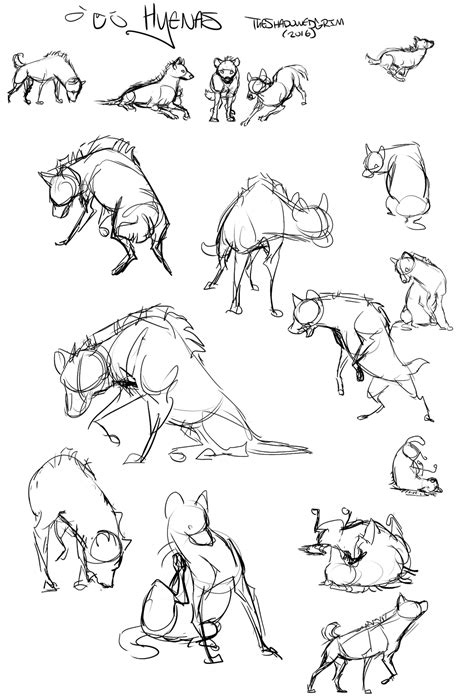 Hyena Drawing Reference