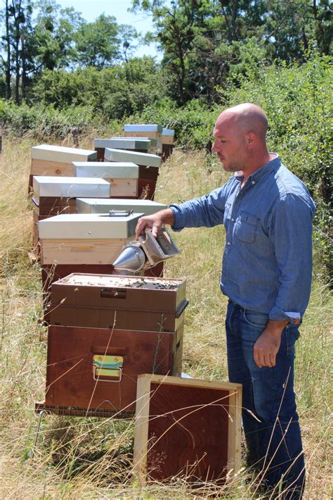 Poisson Apiculture Il quitte sa vie de cadre pour élever des