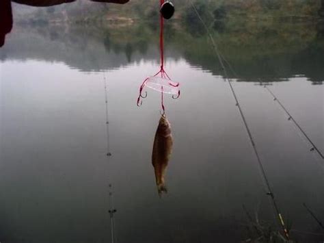 這1招盛夏釣鯽魚的絕招！我用了7年！每次至少38斤！ 每日頭條