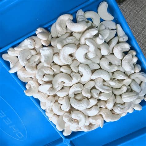 Raw Ivory Dried Cashew Nut Grade W320 At Best Price In Panruti ID