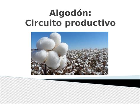 Circuito productivo del algodón by Joaquín Díaz Morales Issuu