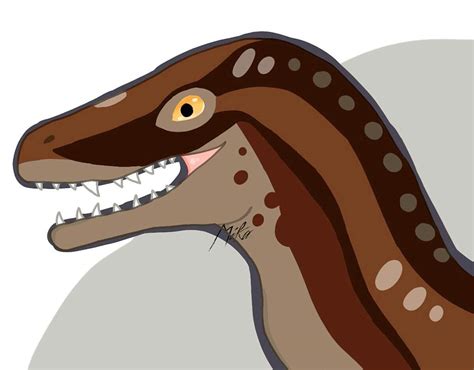 Fasolasuchus