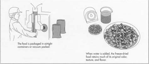 Freeze Drying Food Preservation