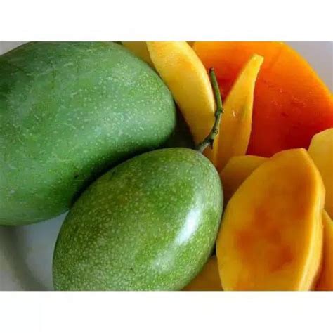 Jual Mangga Manalagi Super Simanalagi Mangga Madu Kg Shopee Indonesia