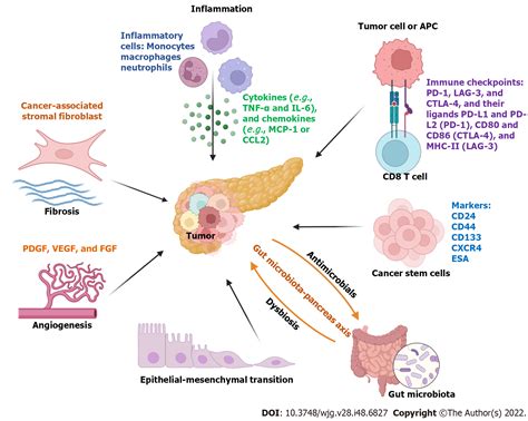 Clinical Diagnosis And Management Of Pancreatic Cancer Markers