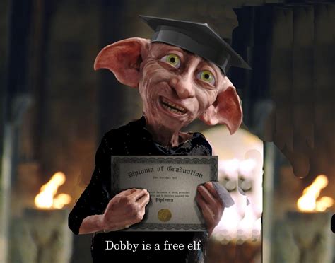 Dobby has got a degree. Dobby is free (for now) | Libros de harry ...