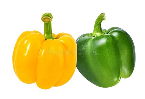 Green and Yellow Peppers Isolated. Stock Photo - Image of background ...