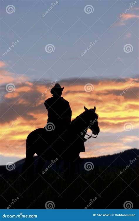 Silhueta Do Cowboy Imagem De Stock Imagem De Ocidental 5614523