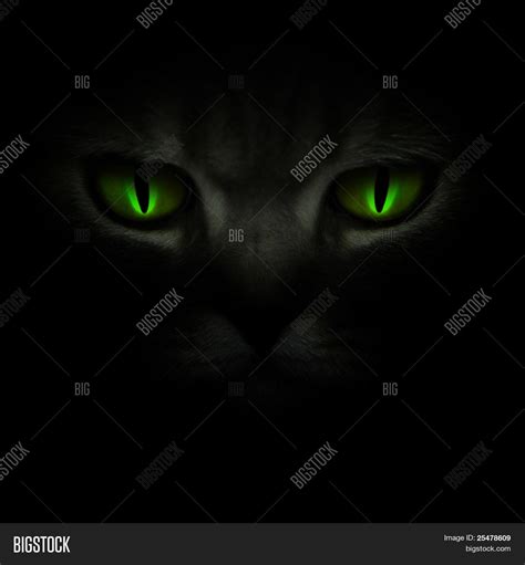 Green Cat's Eyes Image & Photo (Free Trial) | Bigstock