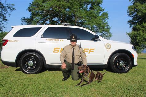 Crisp County Sheriffs Office Has A New K9 Cordele Dispatch Cordele