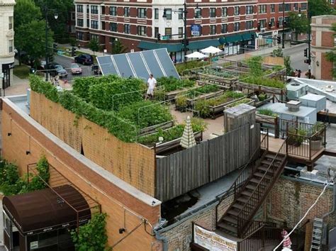 15 Rooftop Garden Design Ideas For Urban Living