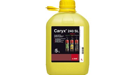 Caryx 240 SL 5L Fungicydy Agrii