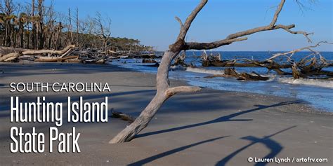 Experience Hunting Island State Park in South Carolina | artofrv.com