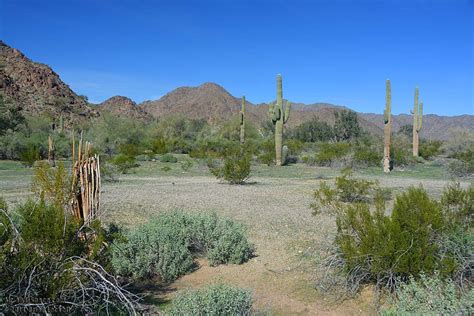 Air And Sonoran Desert National Monument January 28 2014