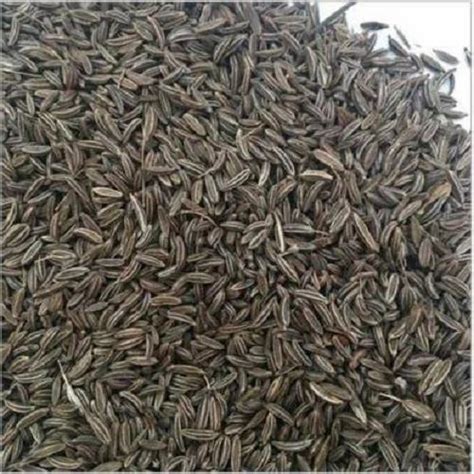 Catch Variety Mustard Seed CARAWAY SEED SHAH JEERA BLACKISH LONG