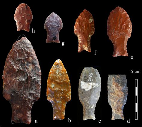 Examples Of Fishtail Points From Uruguay Observe The Variation In