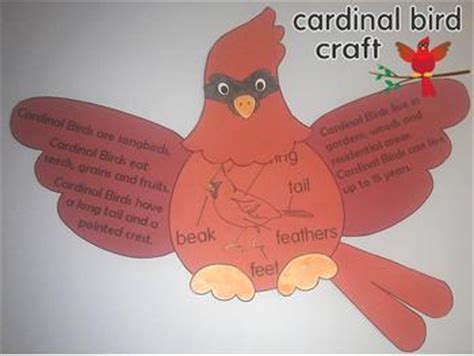 Cardinal Bird facts by Lita Lita | Teachers Pay Teachers