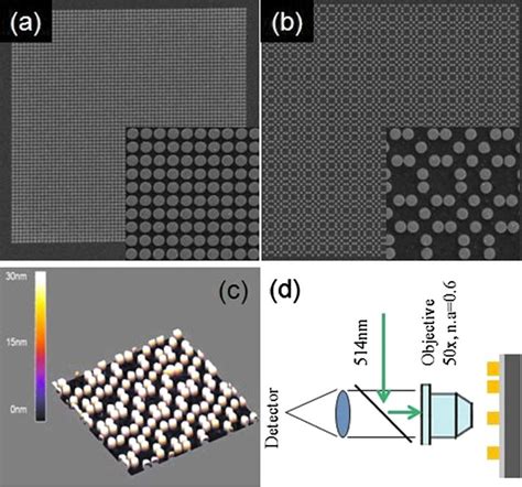 Color Online SEM Micrograph Of A Periodic B Fibonacci Array Au