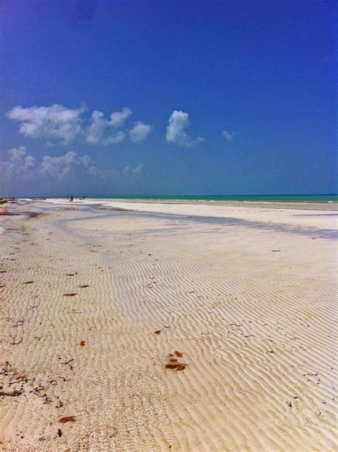 The Obligatory Blog: Life's a Beach on Holbox