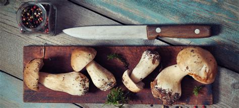 Come Cucinare I Funghi Porcini Cucinarefunghi