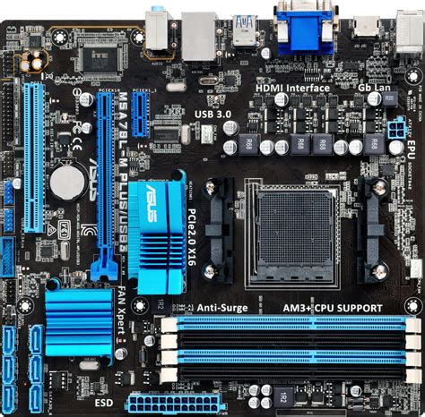 Best Buy Asus M A L M Plus Usb Socket Am Usb Amd Motherboard