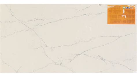 Calacatta Montage Q Premium Quartz Countertops Pacific Wa