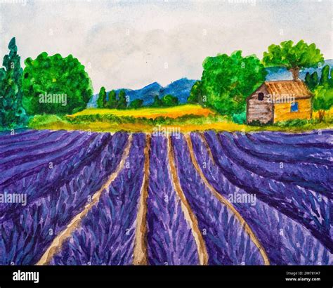 Lavender Fields In Provence Watercolor Painting Stock Photo Alamy