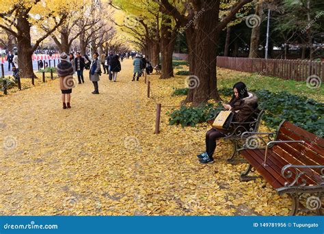 Avenida Del Ginkgo De Tokio Foto Editorial Imagen De Avenida Cubo