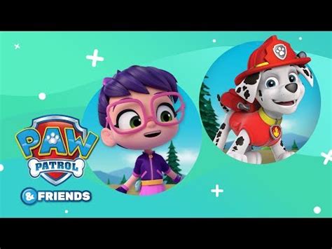 Paw Patrol Abby Hatcher Compilation Paw Patrol Official Friends