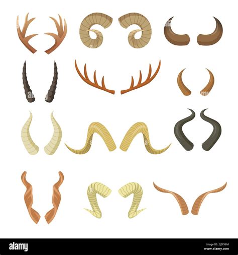 Various Horns Set Pairs Of Antlers Ram Reindeer Moose Cow Deer Antelope Stag Horny Parts
