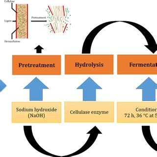 Schematic flow diagram of the bioethanol production process in this ...