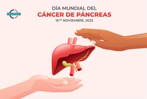 Día Mundial Del Cáncer De Páncreas Anafarmex